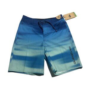 Quicksilver Youth Boardshorts Swim‎ Trunks Size 26 Everyday Panel 13 Limpet NEW